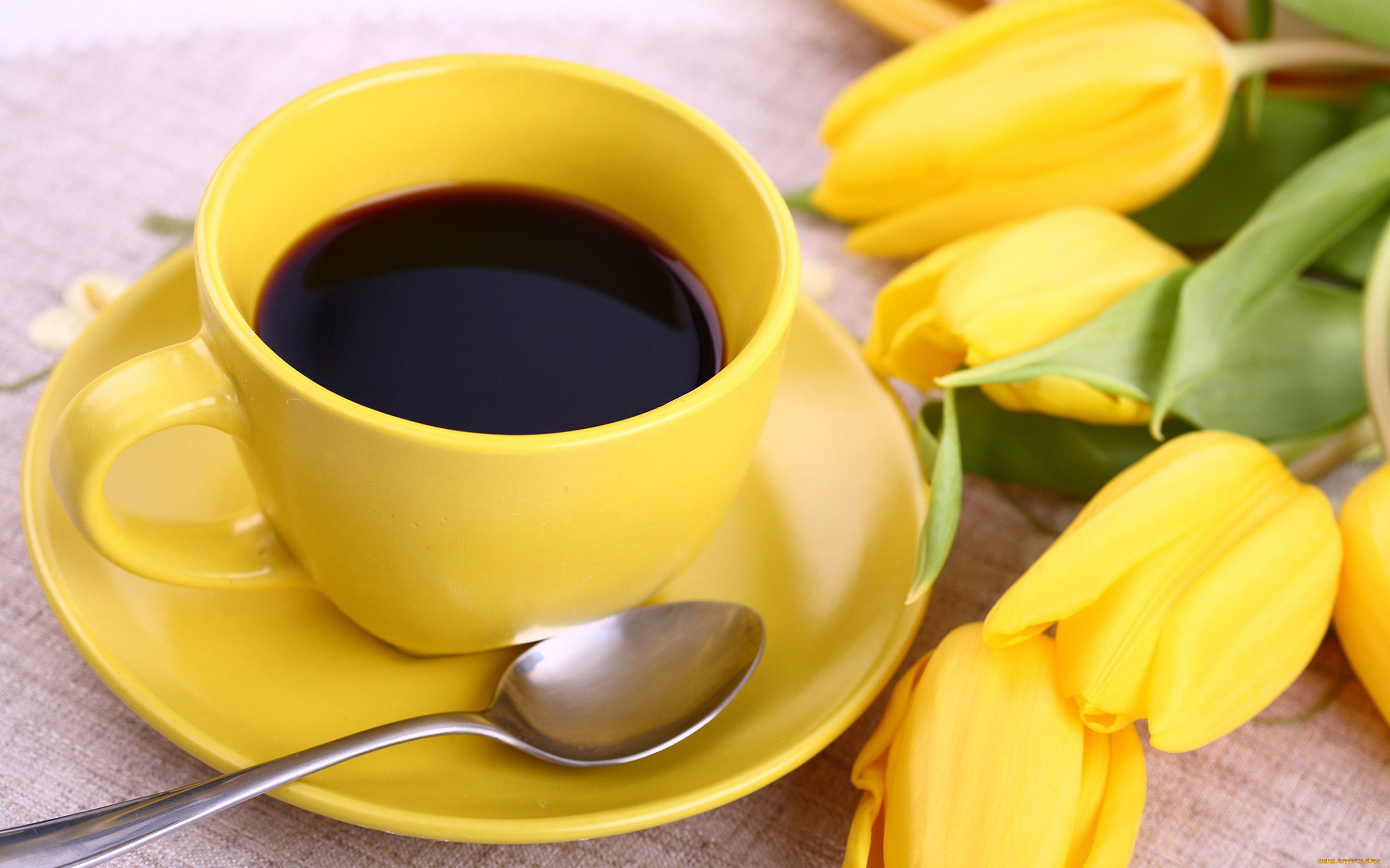 , ,   , , yellow, , , flowers, tulips, cup, breakfast, coffee